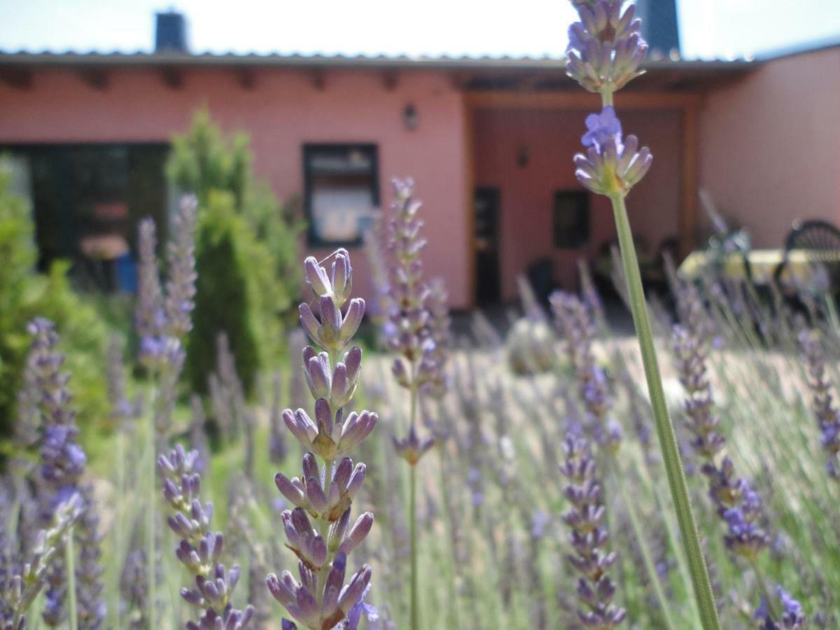 Ferienhaus Krueger Templin Exterior foto